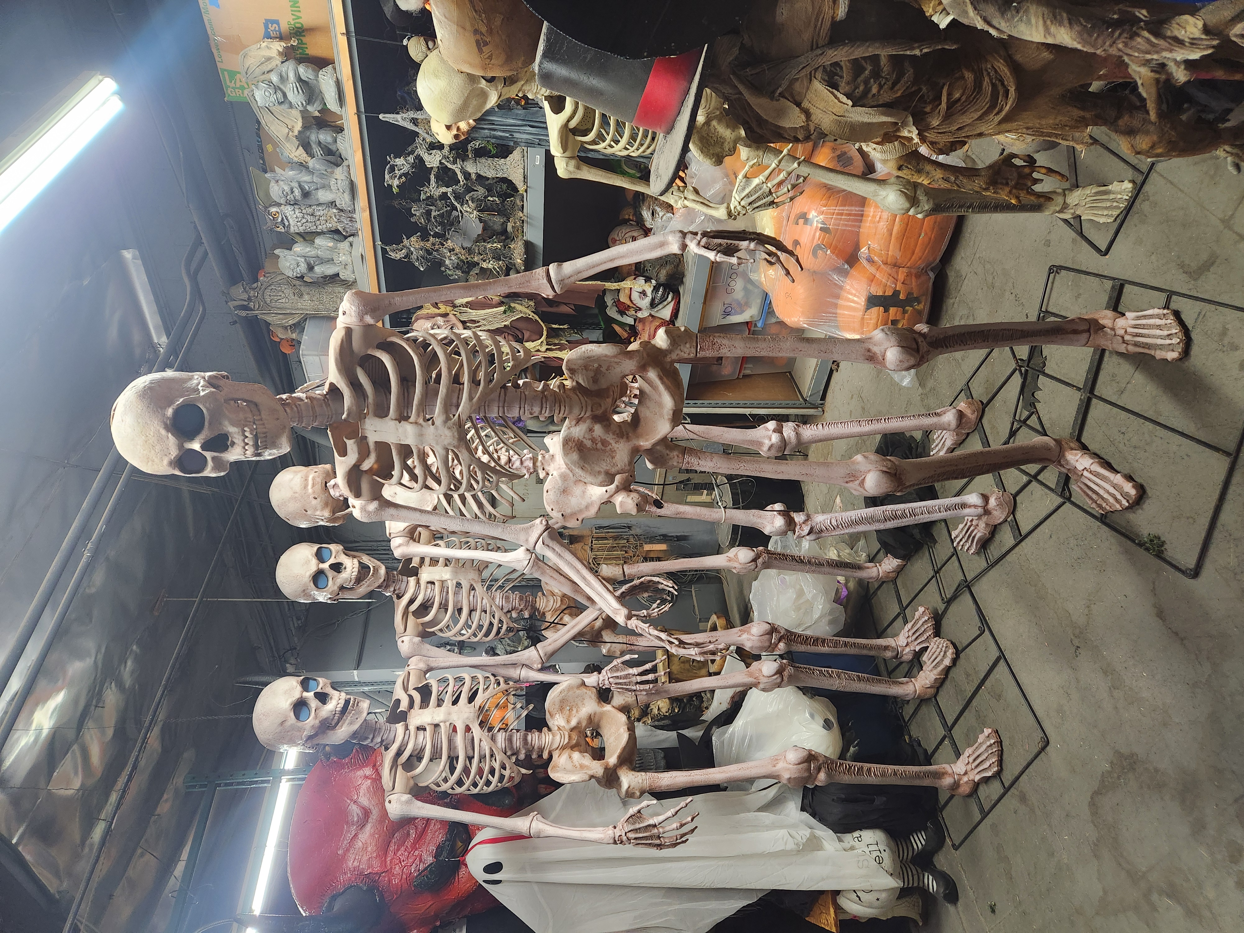 7 foot standing skeleton with lights