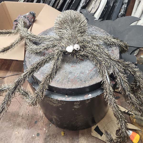 Large furry spider