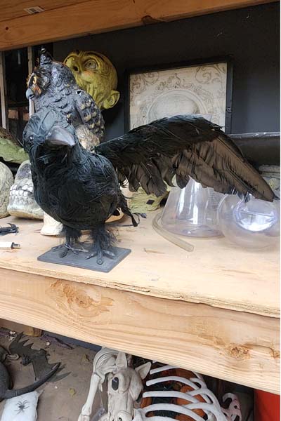 Feathery crows