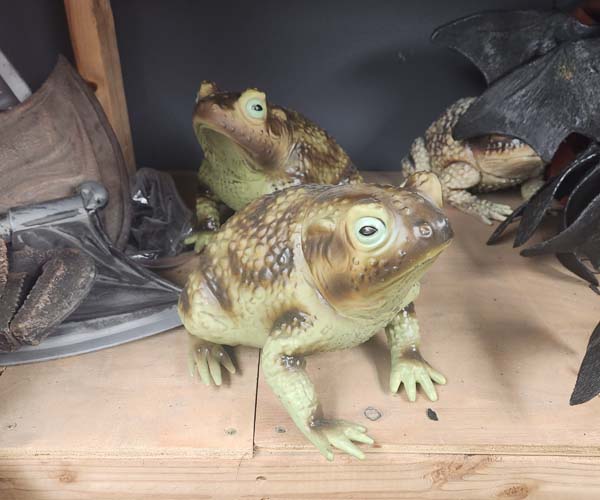 Large rubber toad