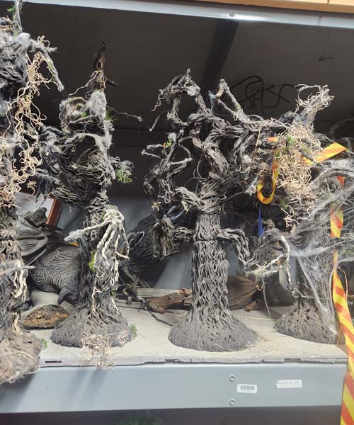 Burnt tree vines