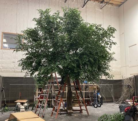 constructed tree